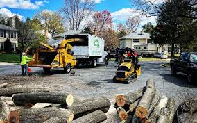 Best Hazardous Tree Removal  in East Quincy, CA